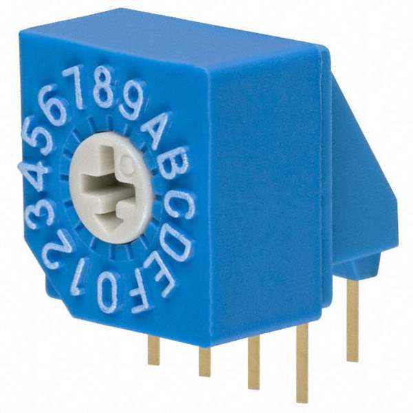 S-1031A Real Image