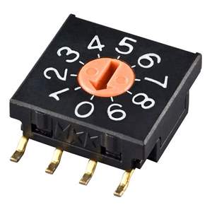 FR02FR10P-R Real Image