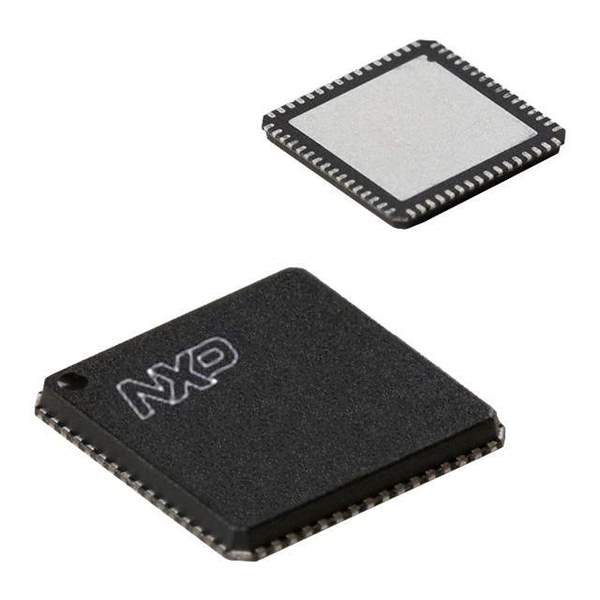 LPC2132FHN64/01 Real Image