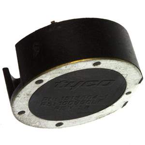 1513504-1 Real Image