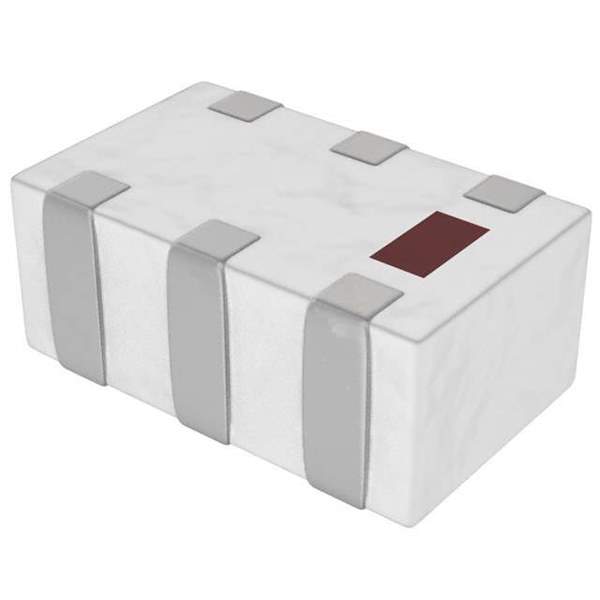 2450BL15B200E Real Image