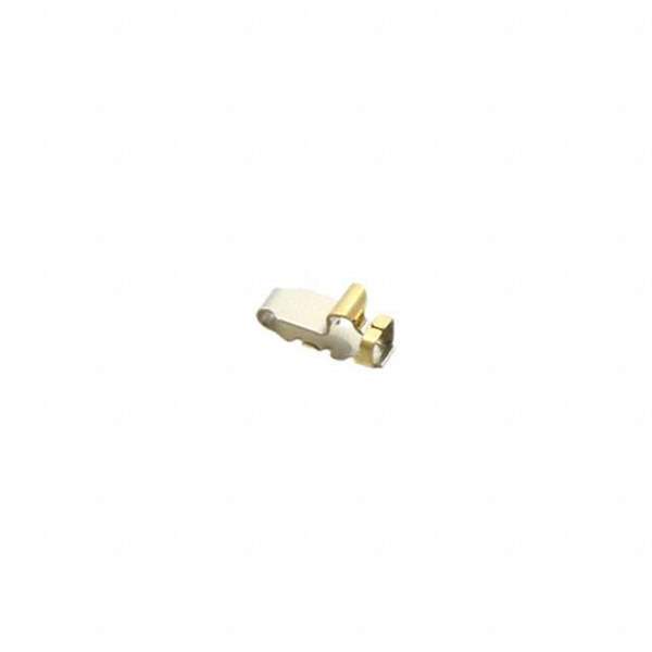 1565158-1 Real Image