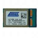 ATZB-24-A2R Real Image