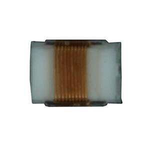 B82498F3101J000 Real Image