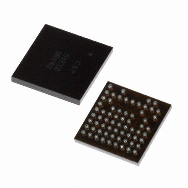 BC51E129B14-IYH-E4 Real Image