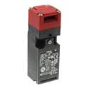D4NS-2DF Real Image