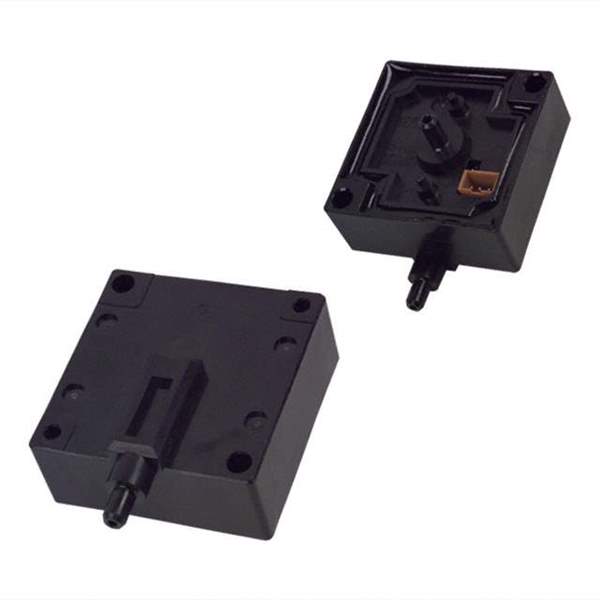 D8M-D1 Real Image