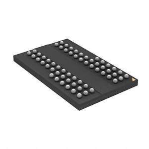 IS43R16160D-6BI Real Image