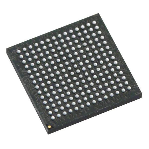 XC6SLX4-2CPG196C Real Image