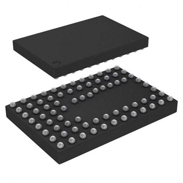 HMC6301BG46 Real Image