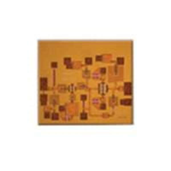 HMC903 Real Image
