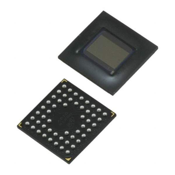 MT9V024IA7XTR-DP1 Real Image