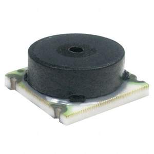 NBPLPNS150PGUNV Real Image