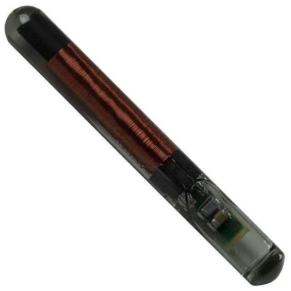 RI-TRP-RR2B-20 Real Image