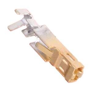 QR/P17-SCA-111(50) Real Image