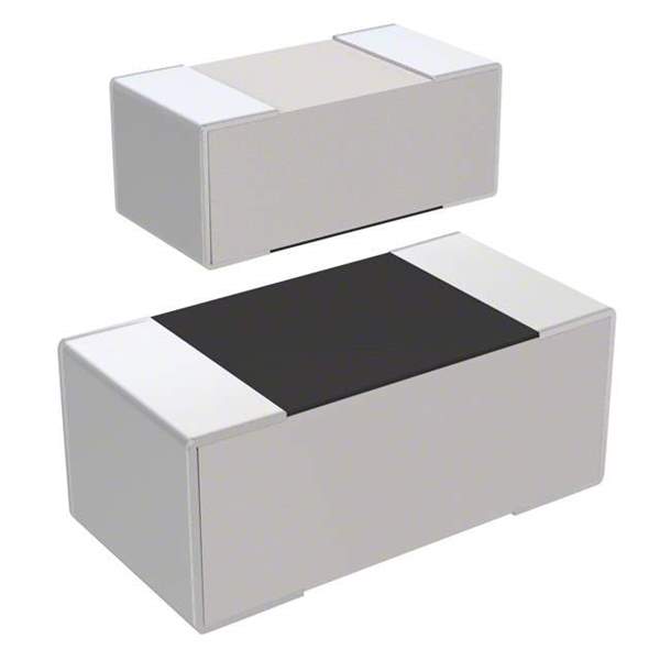 RC1005F104CS Real Image