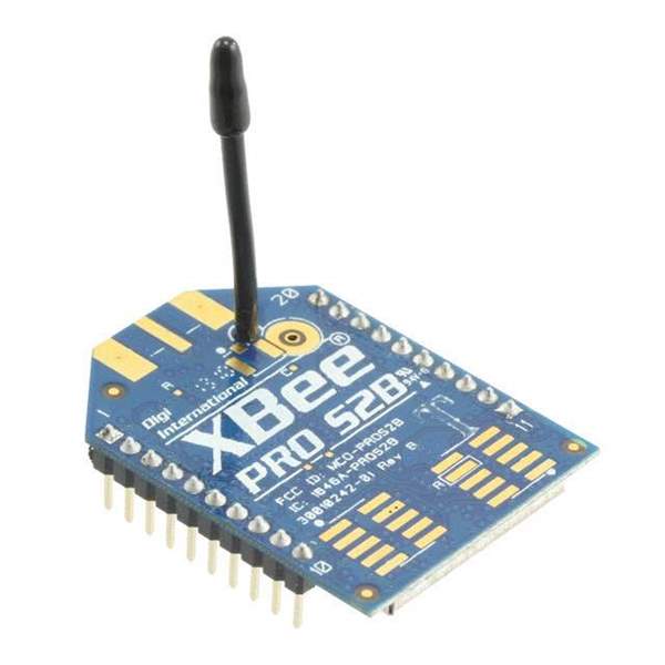 XBP24BZ7WIT-004 Real Image