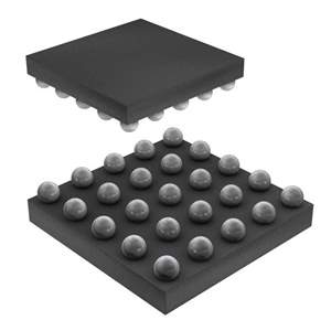 IP4855CX25/P Real Image
