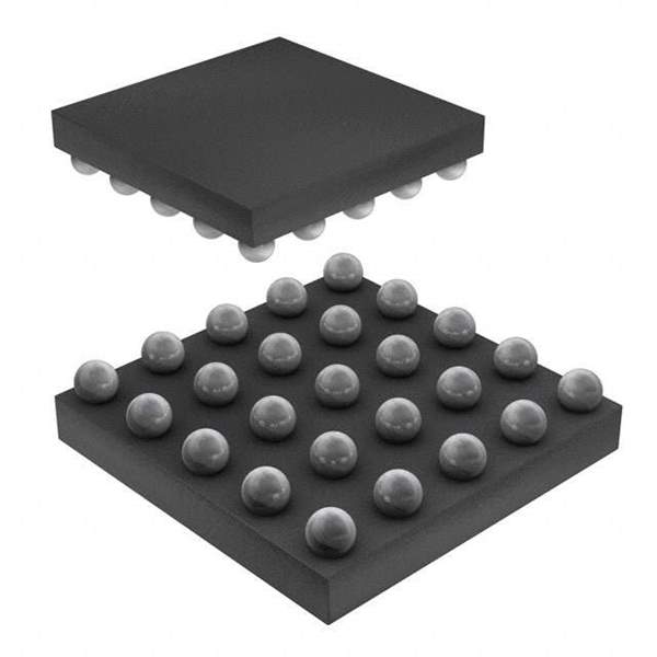 IP4855CX25/P Real Image