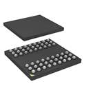 IS42S16800F-7BLI Real Image
