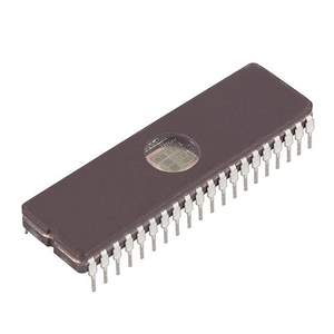 DS87C520-WCL Real Image