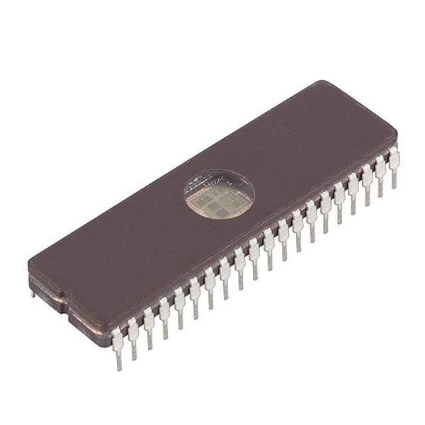 DS87C520-WCL Real Image