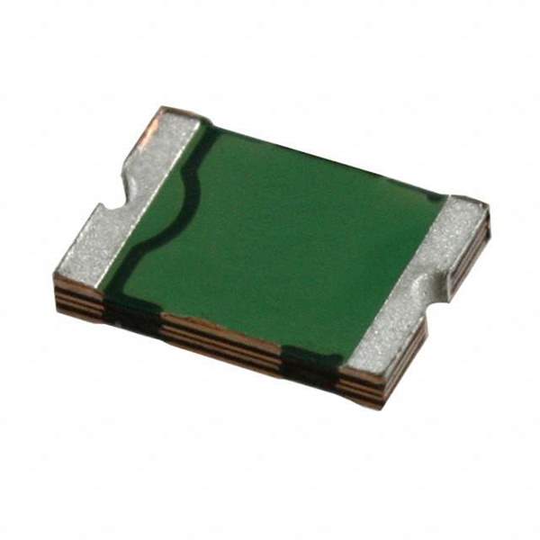 PTS181216V110 Real Image
