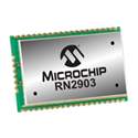 RN2903A-I/RM098 Real Image