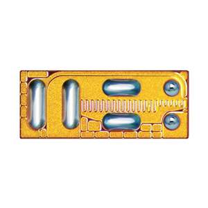 EPC8009 Real Image