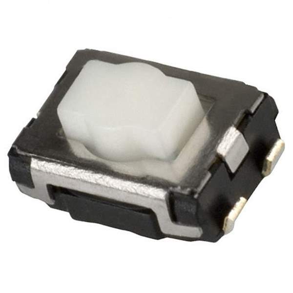 EVQ-P2602W Real Image