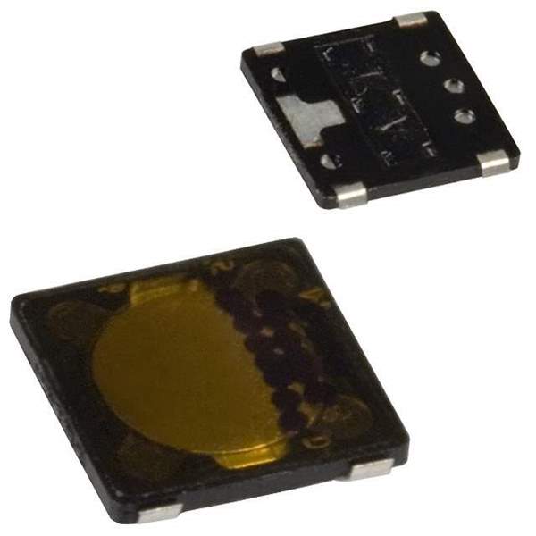 EVQ-P6YB55 Real Image