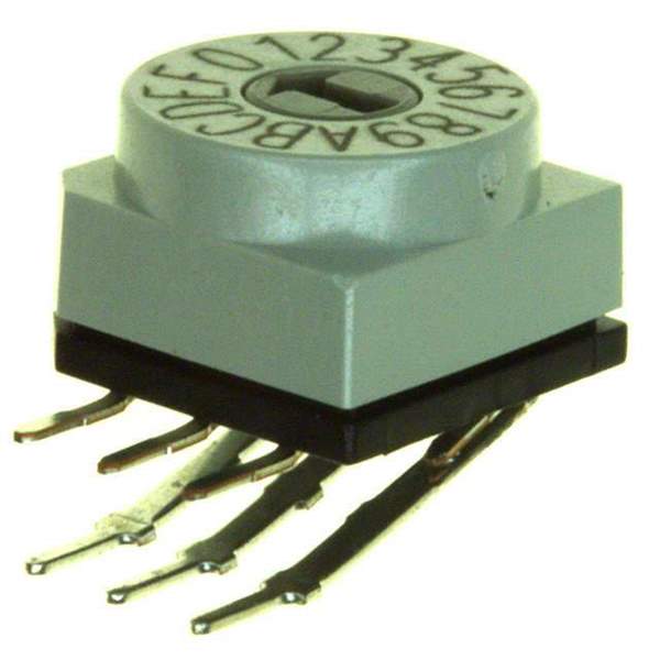 PT65106L254 Real Image