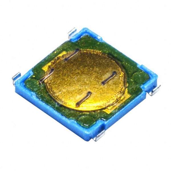 PTS530GG065SMTRLFS Real Image