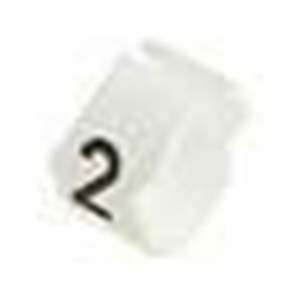 STD12W-2 Real Image