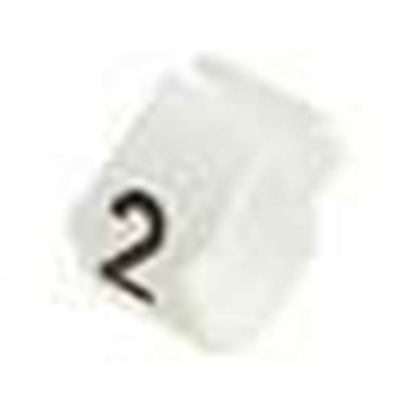 STD12W-2 Real Image