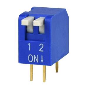 DS02-254-1L-02BE Real Image