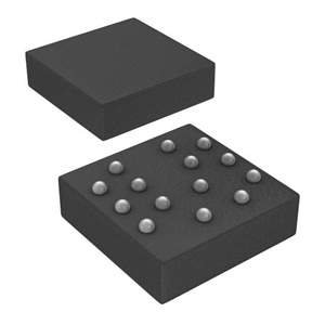 DS1845X-010 Real Image