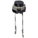 EVQ-PVW05K Real Image