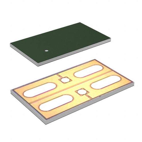 FCAB21350L1 Real Image