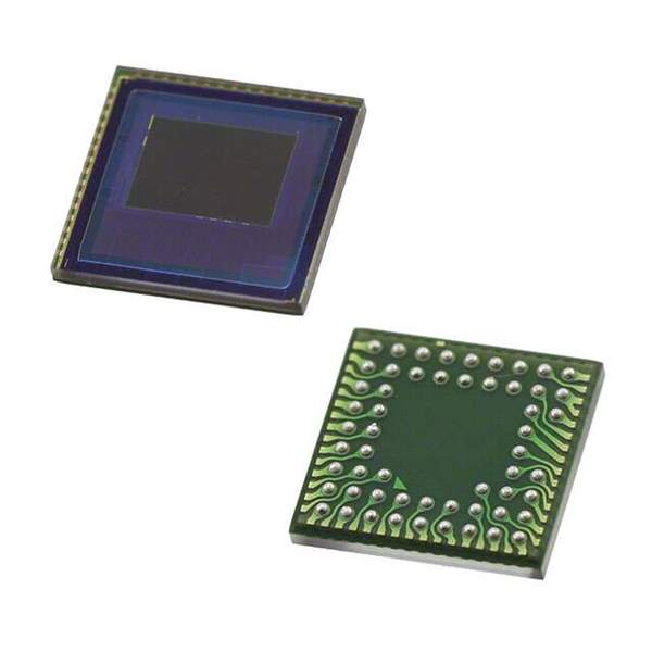 OV03640-V56A Real Image