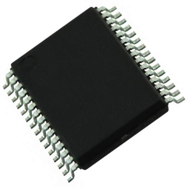 R5F107ACGSP#V0 Real Image
