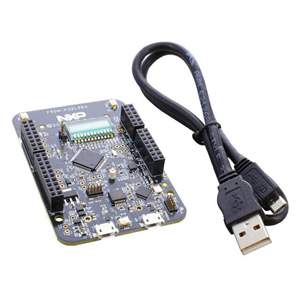 FRDM-K32L2B3 Real Image