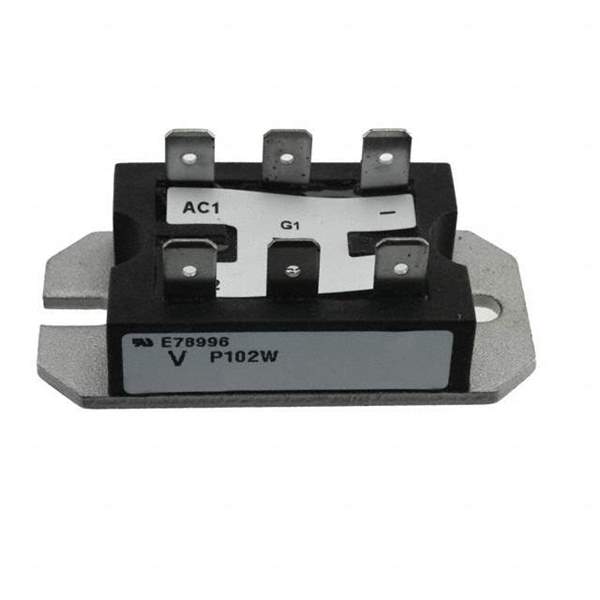 VS-P102W Real Image