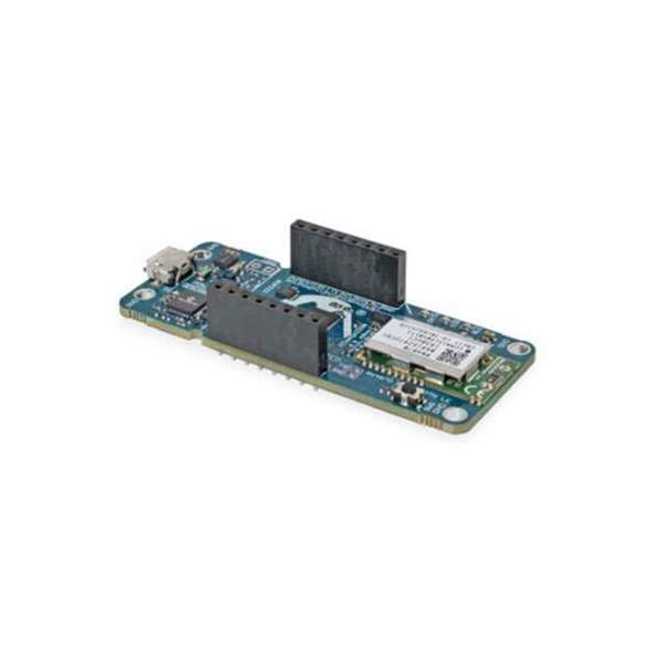DT100111 Real Image