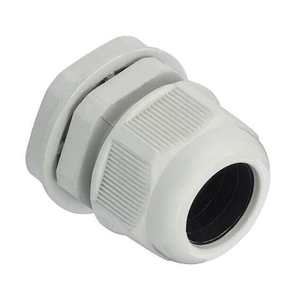 GC1001-D Real Image