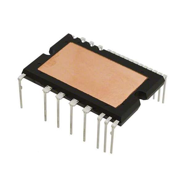 PS219B4-AS Real Image