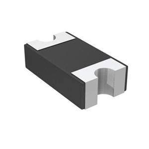 SD1206T040S1R0 Real Image