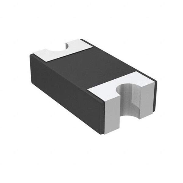 SD1206T040S1R0 Real Image