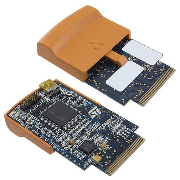 STM3210EPRIM-D Real Image