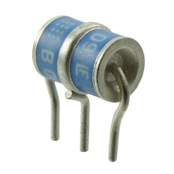 SL1021B090R Real Image